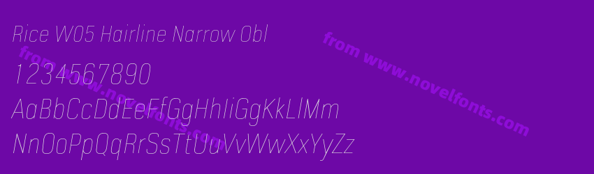 Rice W05 Hairline Narrow OblPreview Rice W05 Hairline Narrow OblPreview