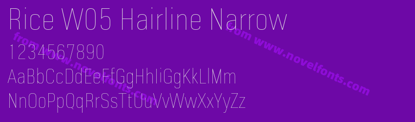 Rice W05 Hairline NarrowPreview Rice W05 Hairline NarrowPreview