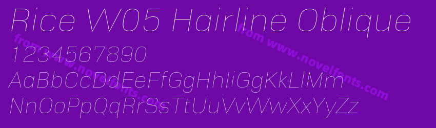 Rice W05 Hairline ObliquePreview Rice W05 Hairline ObliquePreview