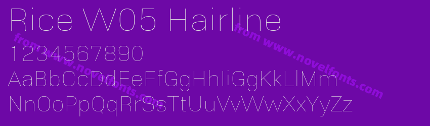 Rice W05 HairlinePreview Rice W05 HairlinePreview