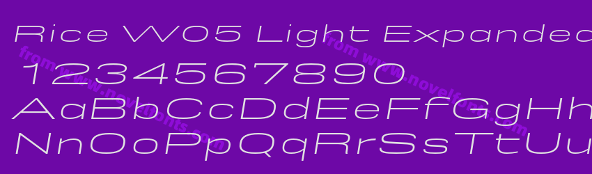 Rice W05 Light Expanded ObliquePreview Rice W05 Light Expanded ObliquePreview