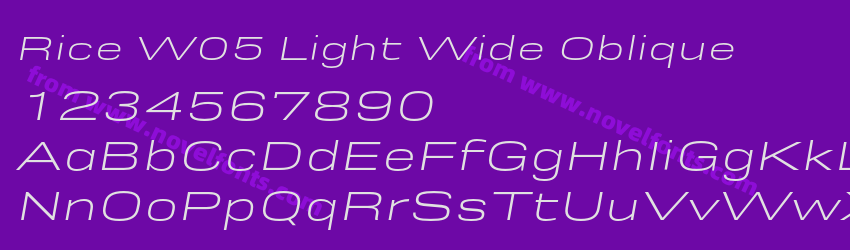 Rice W05 Light Wide ObliquePreview Rice W05 Light Wide ObliquePreview