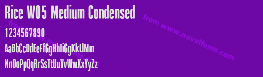 Rice W05 Medium CondensedPreview Rice W05 Medium CondensedPreview