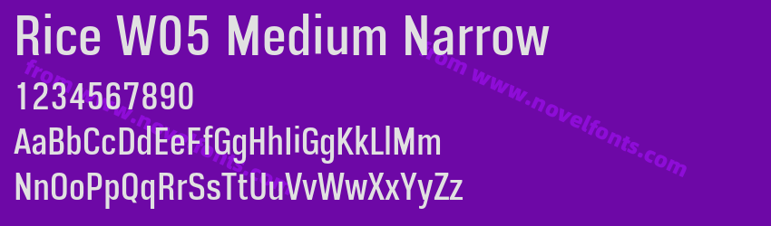 Rice W05 Medium NarrowPreview Rice W05 Medium NarrowPreview