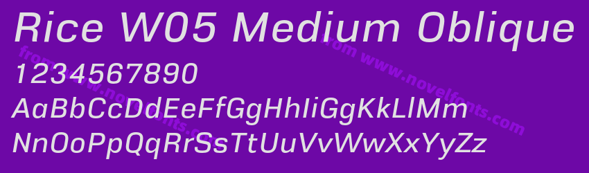 Rice W05 Medium ObliquePreview Rice W05 Medium ObliquePreview