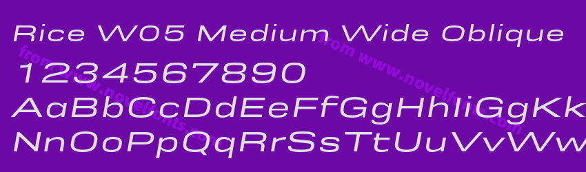 Rice W05 Medium Wide ObliquePreview Rice W05 Medium Wide ObliquePreview