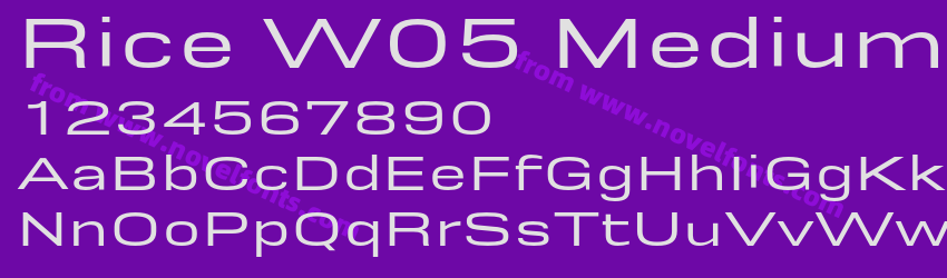 Rice W05 Medium WidePreview Rice W05 Medium WidePreview