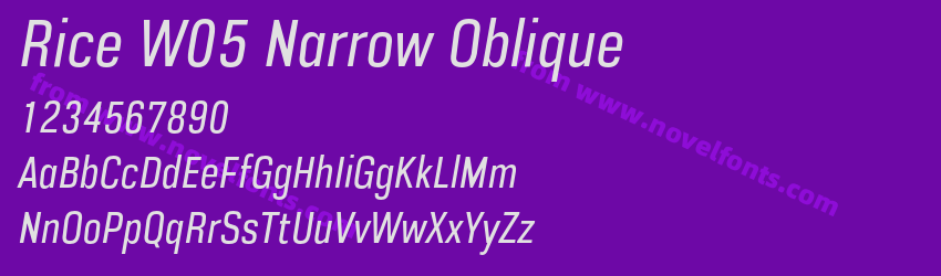 Rice W05 Narrow ObliquePreview Rice W05 Narrow ObliquePreview