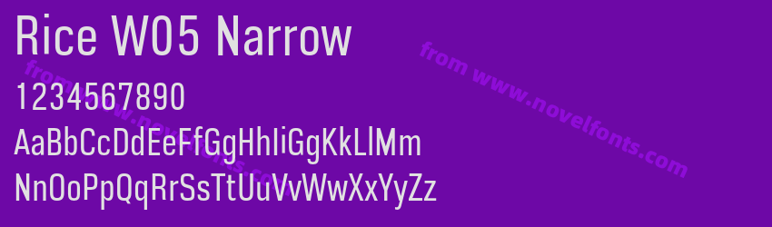 Rice W05 NarrowPreview Rice W05 NarrowPreview