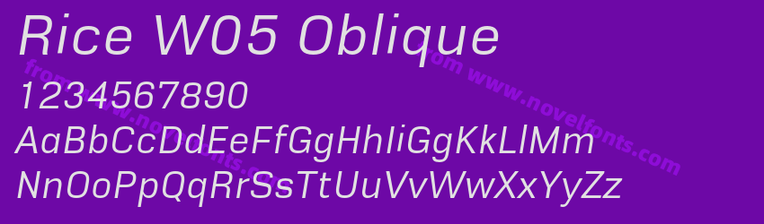 Rice W05 ObliquePreview Rice W05 ObliquePreview