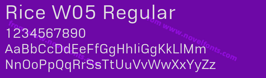 Rice W05 RegularPreview Rice W05 RegularPreview