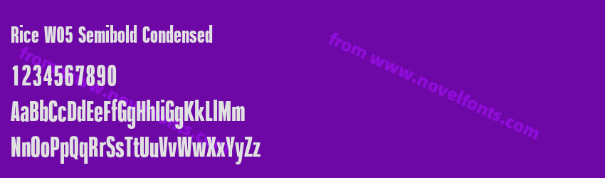 Rice W05 Semibold CondensedPreview Rice W05 Semibold CondensedPreview