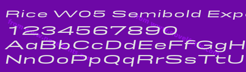 Rice W05 Semibold Expanded OblPreview Rice W05 Semibold Expanded OblPreview