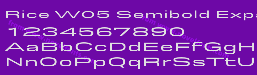 Rice W05 Semibold ExpandedPreview Rice W05 Semibold ExpandedPreview