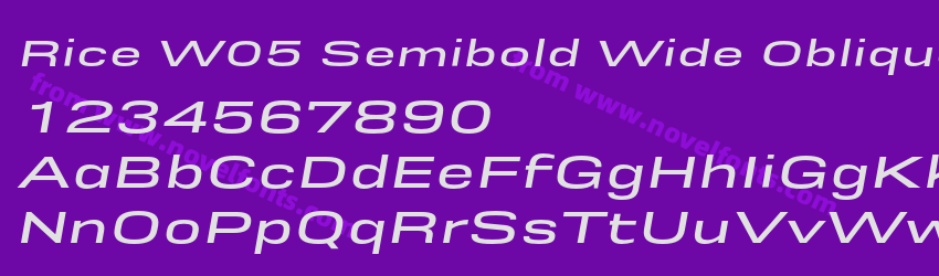 Rice W05 Semibold Wide ObliquePreview Rice W05 Semibold Wide ObliquePreview