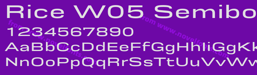 Rice W05 Semibold WidePreview Rice W05 Semibold WidePreview