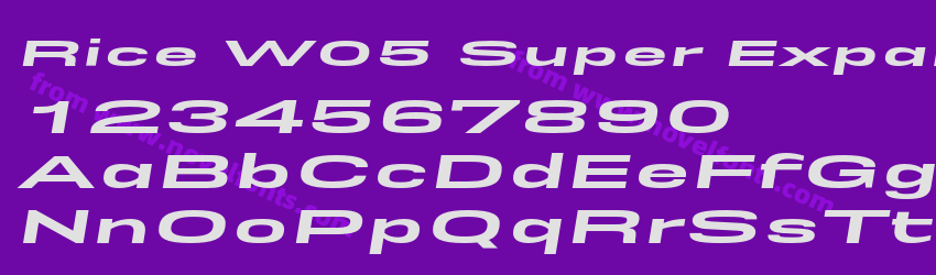 Rice W05 Super Expanded ObliquePreview Rice W05 Super Expanded ObliquePreview