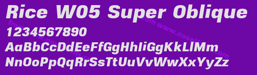 Rice W05 Super ObliquePreview Rice W05 Super ObliquePreview