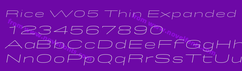 Rice W05 Thin Expanded ObliquePreview Rice W05 Thin Expanded ObliquePreview