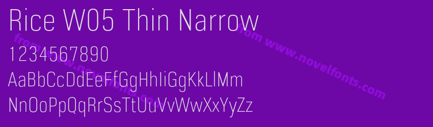 Rice W05 Thin NarrowPreview Rice W05 Thin NarrowPreview