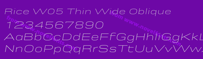 Rice W05 Thin Wide ObliquePreview Rice W05 Thin Wide ObliquePreview