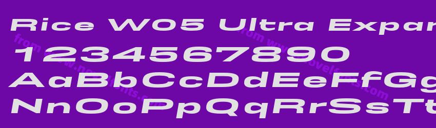 Rice W05 Ultra Expanded ObliquePreview Rice W05 Ultra Expanded ObliquePreview