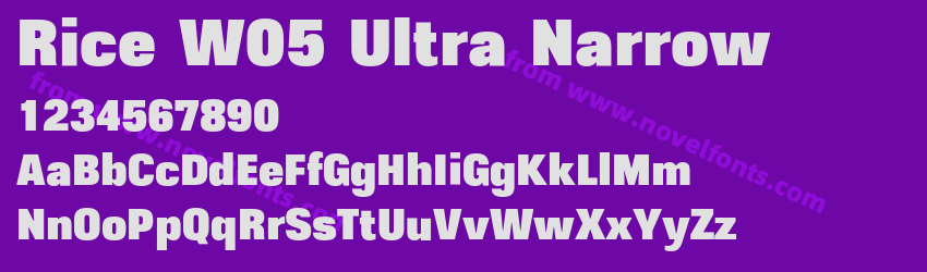 Rice W05 Ultra NarrowPreview Rice W05 Ultra NarrowPreview