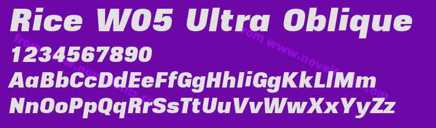Rice W05 Ultra ObliquePreview Rice W05 Ultra ObliquePreview