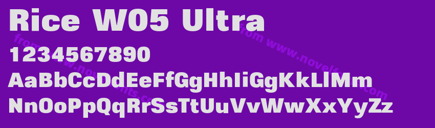 Rice W05 UltraPreview Rice W05 UltraPreview