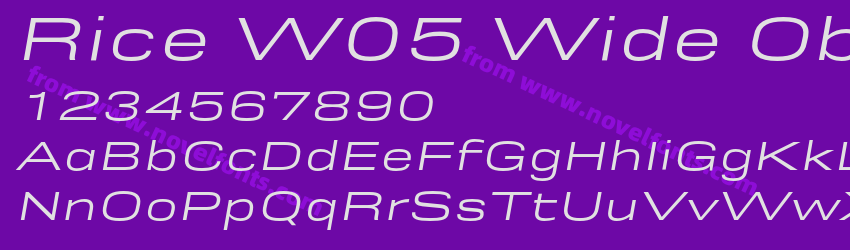 Rice W05 Wide ObliquePreview Rice W05 Wide ObliquePreview