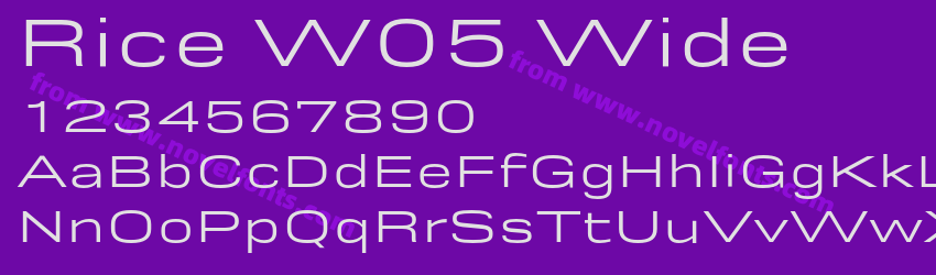 Rice W05 WidePreview Rice W05 WidePreview