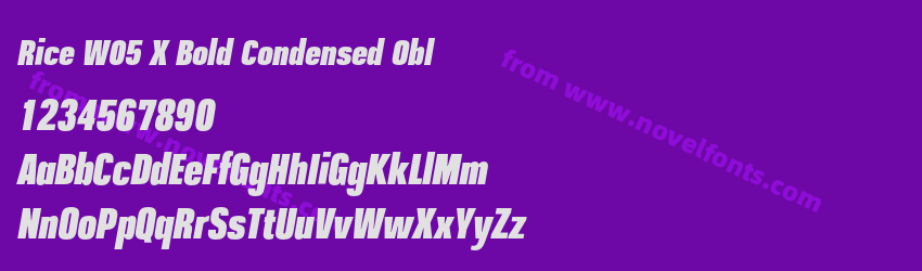 Rice W05 X Bold Condensed OblPreview Rice W05 X Bold Condensed OblPreview