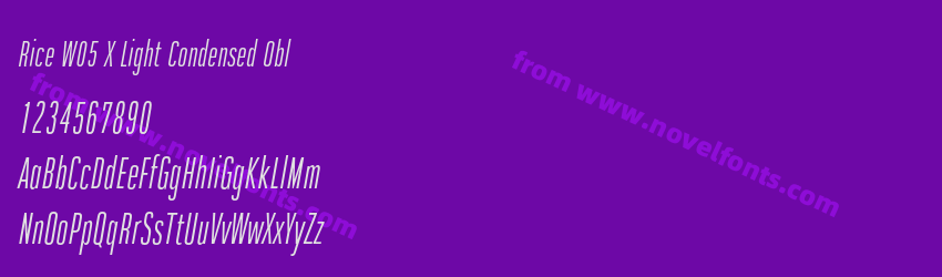 Rice W05 X Light Condensed OblPreview Rice W05 X Light Condensed OblPreview