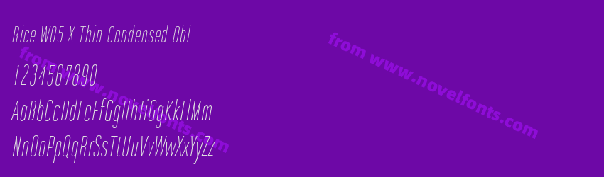 Rice W05 X Thin Condensed OblPreview Rice W05 X Thin Condensed OblPreview