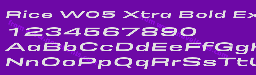 Rice W05 Xtra Bold Expanded OblPreview Rice W05 Xtra Bold Expanded OblPreview