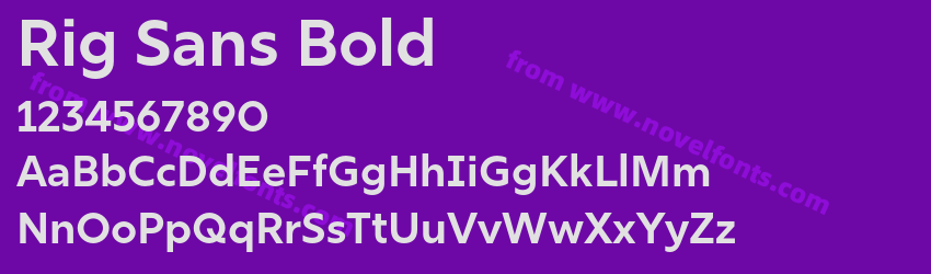 Rig Sans BoldPreview Rig Sans BoldPreview