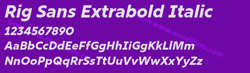 Rig Sans Extrabold ItalicPreview Rig Sans Extrabold ItalicPreview