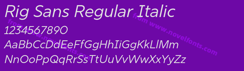 Rig Sans Regular ItalicPreview Rig Sans Regular ItalicPreview
