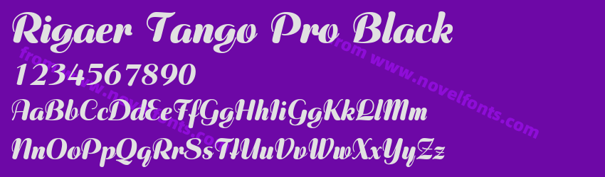 Rigaer Tango Pro BlackPreview Rigaer Tango Pro BlackPreview