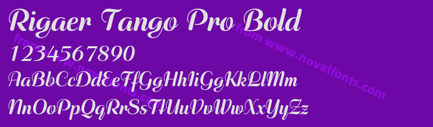Rigaer Tango Pro BoldPreview Rigaer Tango Pro BoldPreview