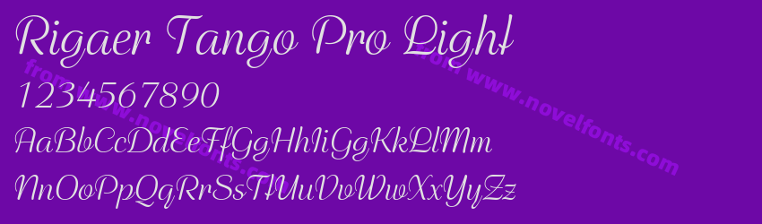 Rigaer Tango Pro LightPreview Rigaer Tango Pro LightPreview