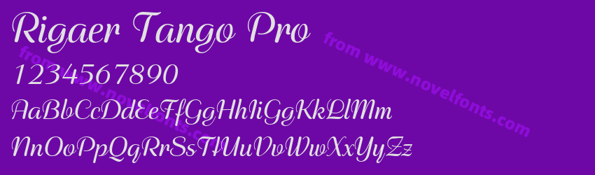 Rigaer Tango ProPreview Rigaer Tango ProPreview