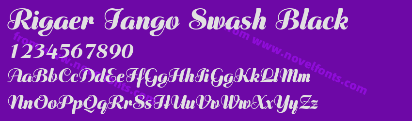 Rigaer Tango Swash BlackPreview Rigaer Tango Swash BlackPreview