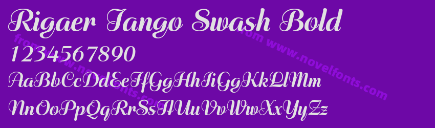 Rigaer Tango Swash BoldPreview Rigaer Tango Swash BoldPreview