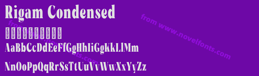 Rigam CondensedPreview Rigam CondensedPreview