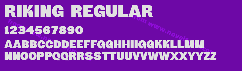 Riking RegularPreview Riking RegularPreview