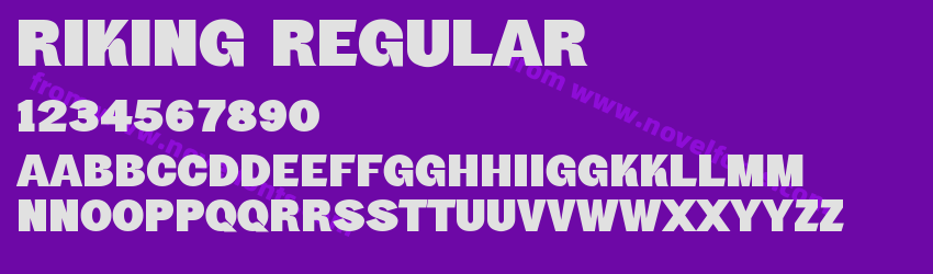 Riking RegularPreview Riking RegularPreview