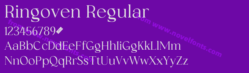 Ringoven RegularPreview Ringoven RegularPreview
