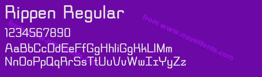 Rippen RegularPreview Rippen RegularPreview