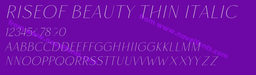 Riseof Beauty Thin ItalicPreview Riseof Beauty Thin ItalicPreview